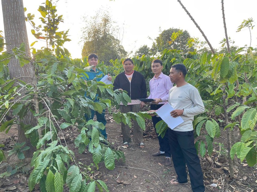 Cán bộ NHCSXH tới thăm mô hình kinh tế của người dân.