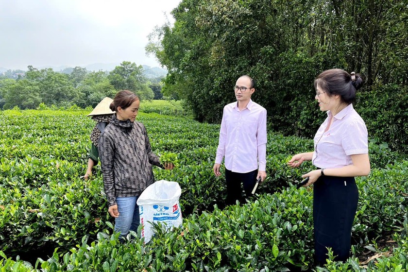 Nhờ nguồn vốn tín dụng nhiều hộ gia nghèo tại Thái Nguyên đã vươn lên thoát nghèo, xây dựng kinh tế.