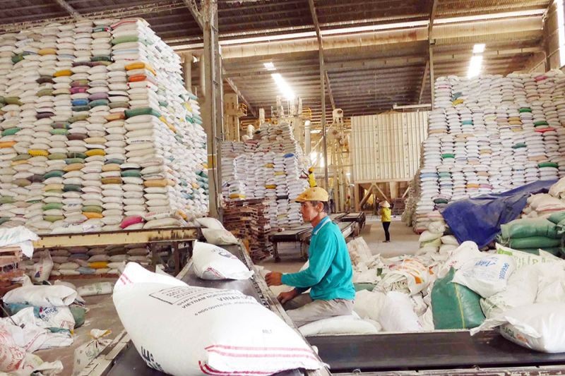 VCCI cho rằng, cơ quan soạn thảo Dự thảo Nghị định sửa đổi, bổ sung Nghị định 107 cần xem xét kỹ lưỡng một số quy định trong Dự thảo, tránh gây khó, cản trở việc gia nhập thị trường của doanh nghiệp.