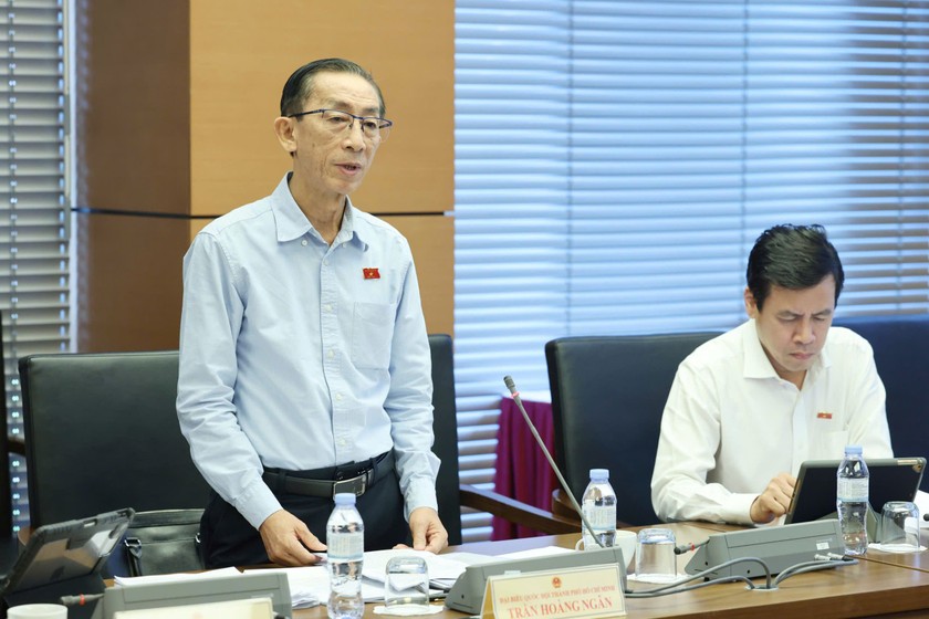 Đại biểu Trần Hoàng Ngân (Đoàn TP Hồ Chí Minh). 