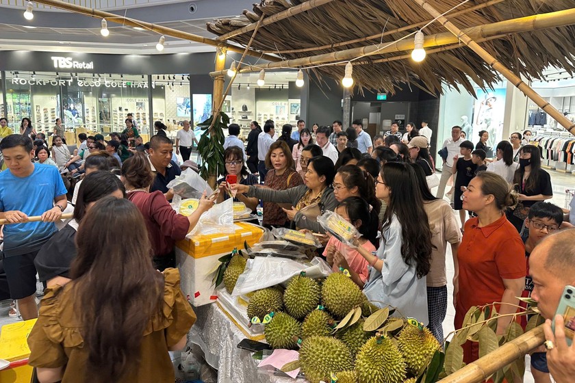 Người tiêu dùng Hải Phòng sẽ tiếp cận được sản phẩm sầu riêng có chất lượng với giá cả hợp lý. 