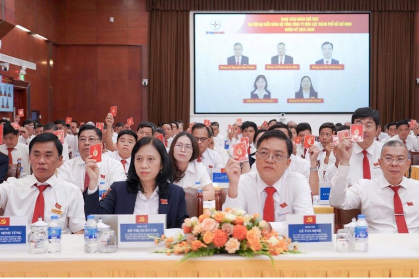 Các đại biểu tham dự Đại hội.