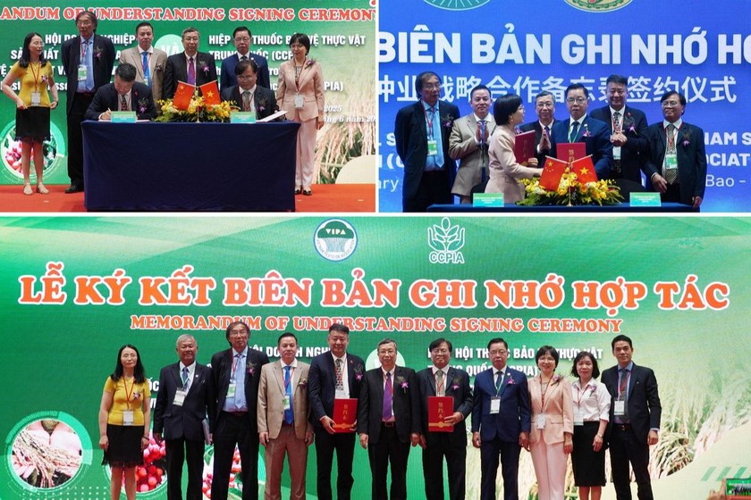 Việt Nam - Trung Quốc ký kết các biên bản ghi nhớ hợp tác trong nghiên cứu, phát triển và thương mại hóa giống cây trồng, vật tư nông nghiệp. (Ảnh: Nguyễn Thủy) 