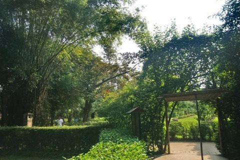 Không gian hình ảnh ngôi nhàViệtĐồng bằng Bắc bộ gợi thương nhớ... (Ảnh: Tuấn Ngọc)