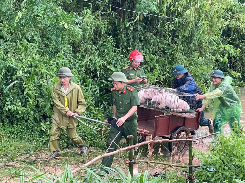 Lực lượng vũ trang giúp người dân di dời tài sản, vật nuôi về nơi an toàn.