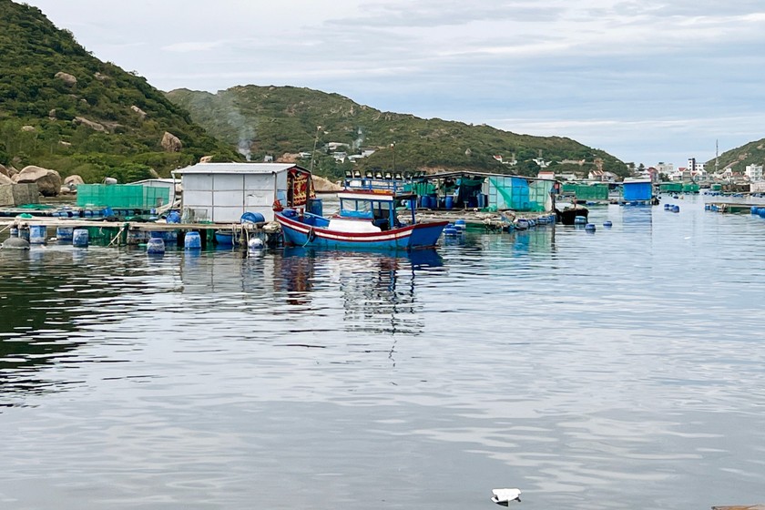 Hàng loạt hộ dân ở Khánh Hòa lao đao vì bị "cò tôm hùm" nợ hơn 43 tỷ đồng