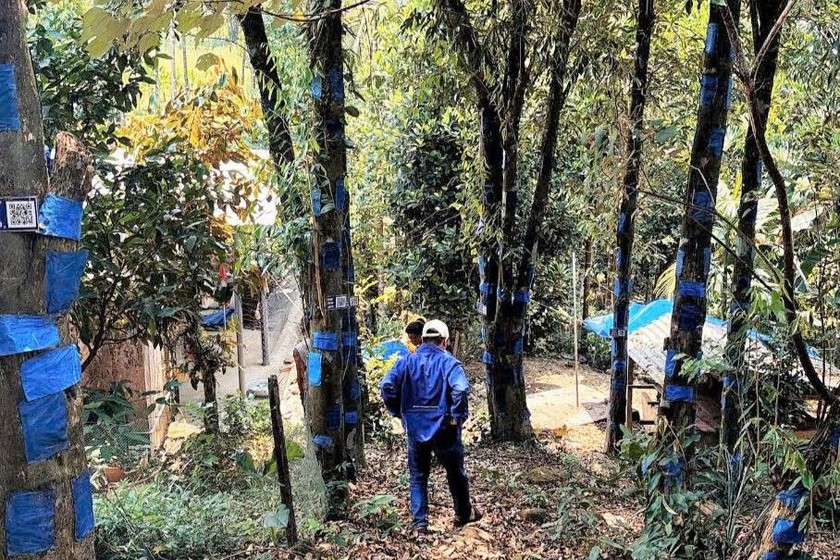 Hợp tác xã Tasiho: Bước đột phá công nghệ sinh học, nâng tầm thương hiệu trầm hương đất Quảng