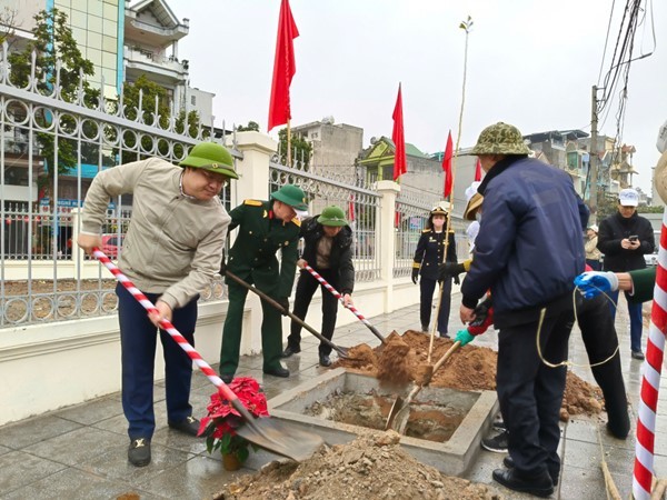 Phường Cao Xanh tổ chức trồng gần 1.000 cây phi lao dọc theo tuyến đường Trần Thái Tông dài gần 2km.