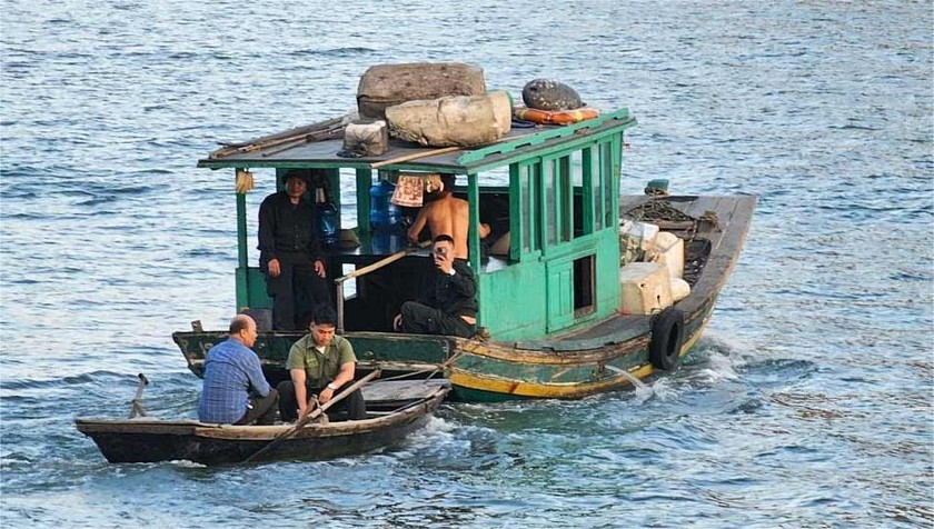Đưa khỉ ra đảo, trả về môi trường tự nhiên.