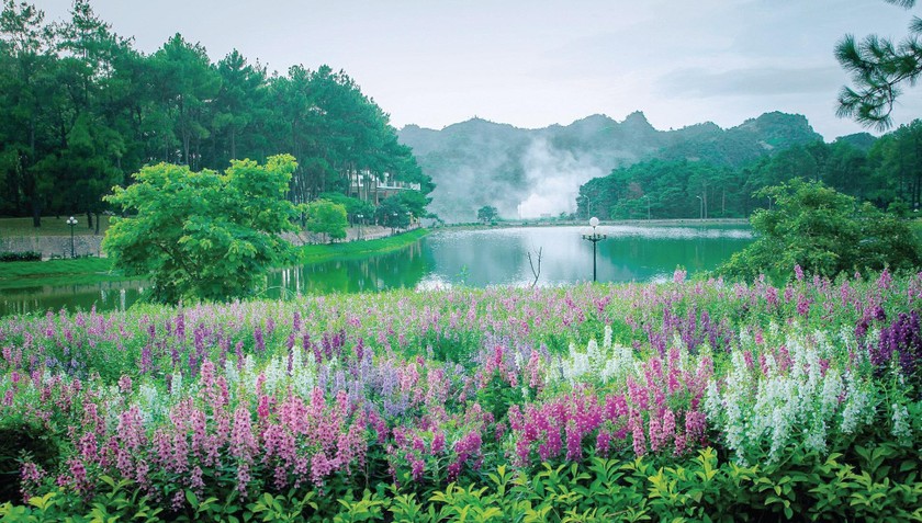 Khung cảnh thơ mộng, yên bình tại Khu du lịch Rừng thông bản Áng.