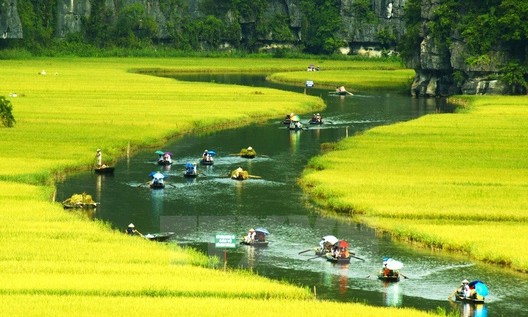  Tuần du lịch 'Sắc vàng Tam Cốc - Tràng An'