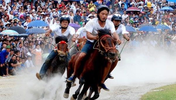 Bắt đầu Festival Cao nguyên trắng Bắc Hà năm 2019