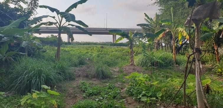 Một thửa đất nông nghiệp đã có chủ sở hữu khác nhưng lại được giao bán cho bà Nguyệt. 