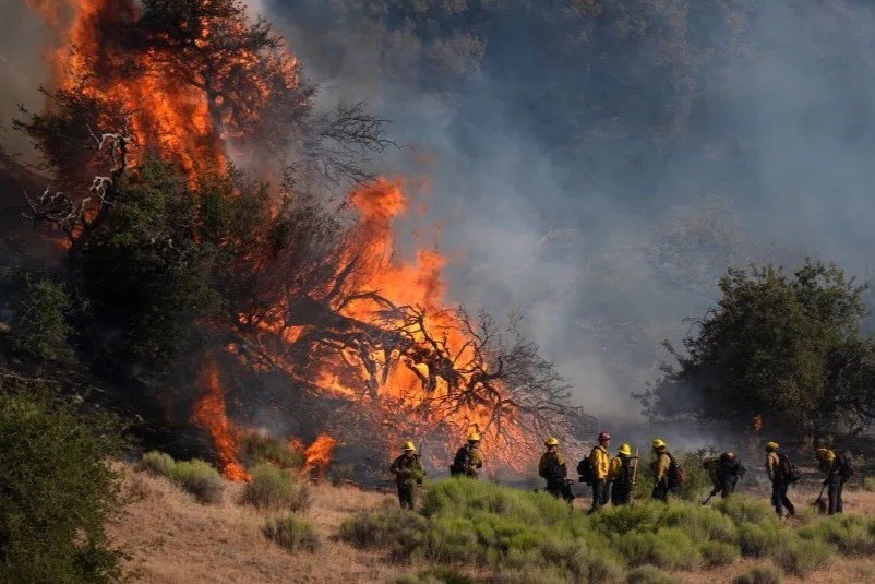 Lính cứu hỏa nỗ lực kiểm soát đám cháy đang lan rộng tại bang California, Mỹ, ngày 15/6. Ảnh: Marcio Jose Sanchez/AP. 