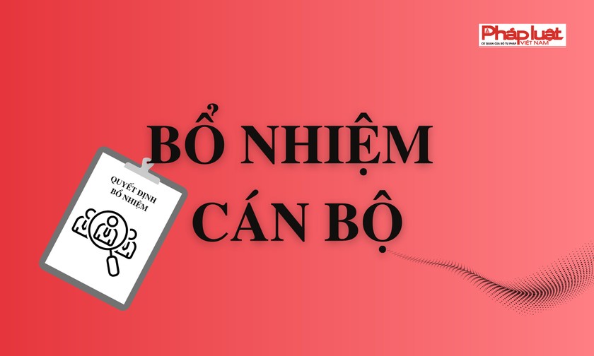 Bổ nhiệm ông Trịnh Mạnh Linh làm Trợ lý Thủ tướng Chính phủ