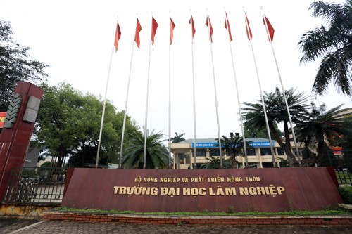 Đại học Lâm nghiệp.