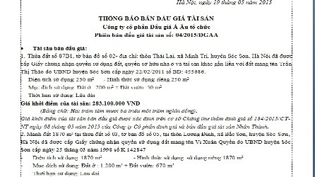 Công ty Cổ phần Đấu giá Á Âu thông báo bán đấu giá tài sản