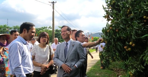 Đại diện các nhà khoa học, doanh nghiệp quốc tế khảo sát vùng vải thiều