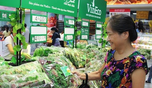 Vinmart chính thức phân phối rau sạch Vineco