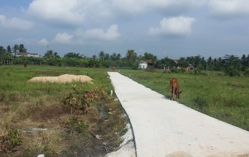 Tỉnh Cà Mau yêu cầu xử lý dứt điểm tình trạng loạn phân lô, bán nền tràn lan