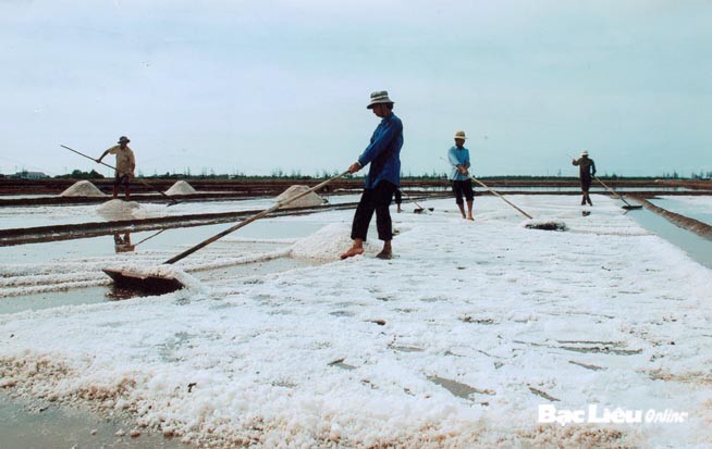 'Mùa vàng' của diêm dân Đông Hải