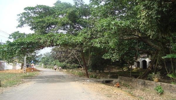Làng cười hôm nay vẫn giữ nguyên nét đẹp nguyên sơ, cổ kính 