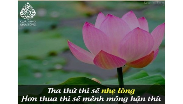 Tha thứ cho kẻ thù là "phóng thích" chính mình