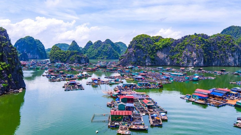 Toàn cảnh làng chài Cái Bèo hôm nay. 