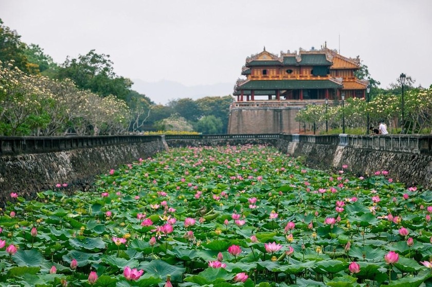 Những ngọn gió ngát hương…