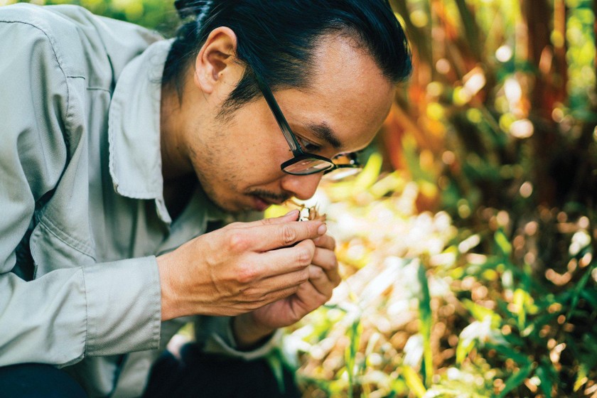 Daniel Nguyễn Hoài Tiến .