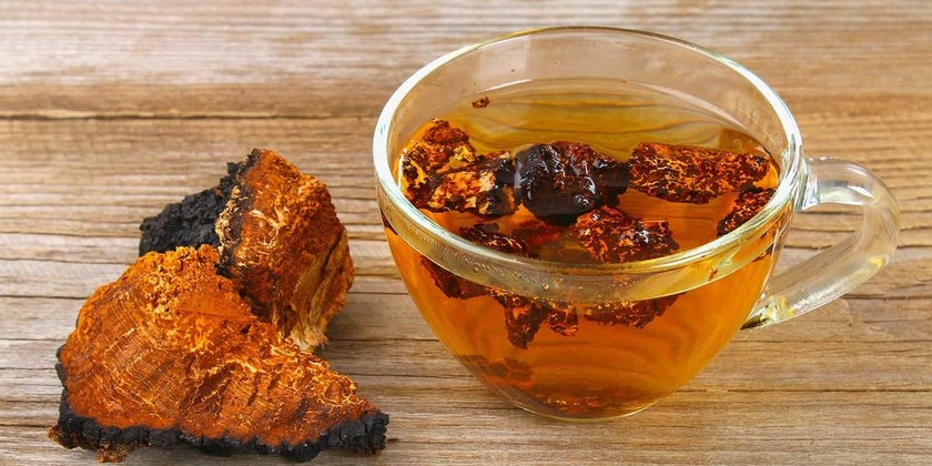 Thần dược nấm Chaga. 