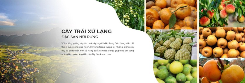 Phát triển kinh tế số - “chìa khóa” giúp Lạng Sơn phát triển hiện đại, chuyên nghiệp