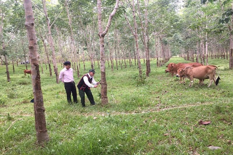 Từ các chương trình tín dụng chính sách xã hội, hàng chục nghìn hộ nghèo, hộ cận nghèo và các đối tượng chính sách trên địa bàn tỉnh Thừa Thiên- Huế đã tiếp cận nguồn vốn để phát triển kinh tế, góp phần cải thiện, nâng cao đời sống.