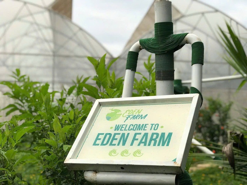 CEO Eden Farm Nguyễn Văn Đức và khát vọng kiến tạo chuỗi giá trị nông sản Việt bền vững