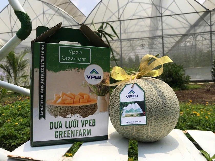 Sản phẩm dưa lưới của Eden Farm đã xuất ngoại.