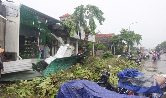 Tan hoang sau cơn lốc xoáy