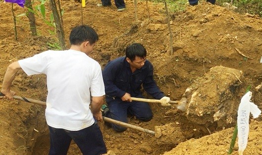 Đội Quy tập hài cốt liệt sỹ Đoàn Kinh tế quốc phòng 337 đang tìm kiếm hài cốt liệt sỹ tại vườn tràm nhà dân