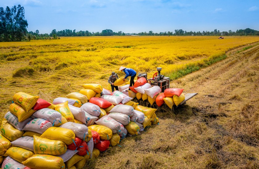 Kim ngạch xuất khẩu đối với một số thị trường tại EU tăng gấp 2 hoặc 3 lần so với trước đây.