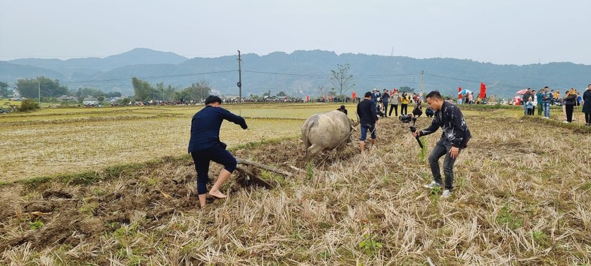 Rộn ràng lễ hội “Lùng Tùng” của dân tộc Thái huyện Than Uyên 