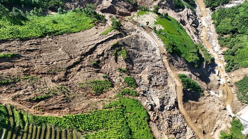 Mưa lũ đã làm thiệt hại 623,5ha lúa, gần 200ha ngô, rau màu các loại, gần 300ha cây công nghiệp, lâm nghiệp các loại.