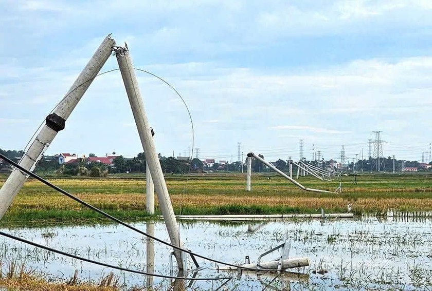 Cột điện gãy đổ trên cánh đồng Đông Hoàng, TP. Thanh Hóa (Ảnh: ĐT).