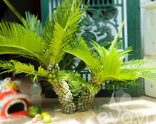 trai-cay-cat-tia-doc-dao-va-ngo-nghinh-cho-ram-trung-thu-6