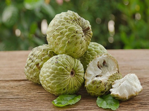 Kết quả hình ảnh cho quả Na