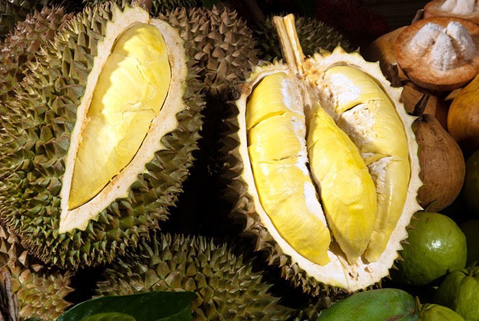 Kết quả hình ảnh cho Sầu riêng