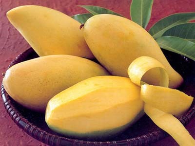 Kết quả hình ảnh cho Xoài