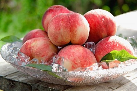 Kết quả hình ảnh cho Đào