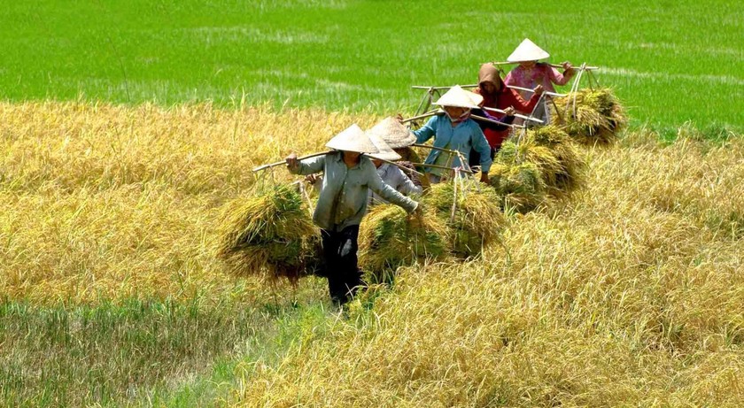 Bao giờ người nông dân mới hết khổ