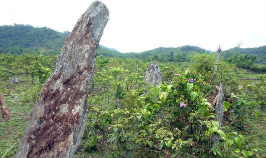 Toàn cảnh khu mộ đá cổ