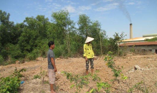 Hiện trường nơi phần đất bị đào xới và hài cốt ba ngôi mộ bị xúc đi mất 