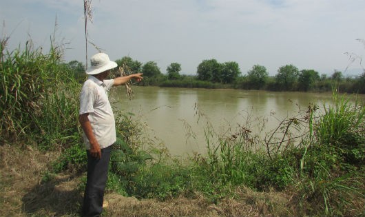 Cỏ cây đã lên xanh trên một điểm từng sạt lở trên bờ sông  